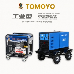  300A diesel electric welding machine TO300A